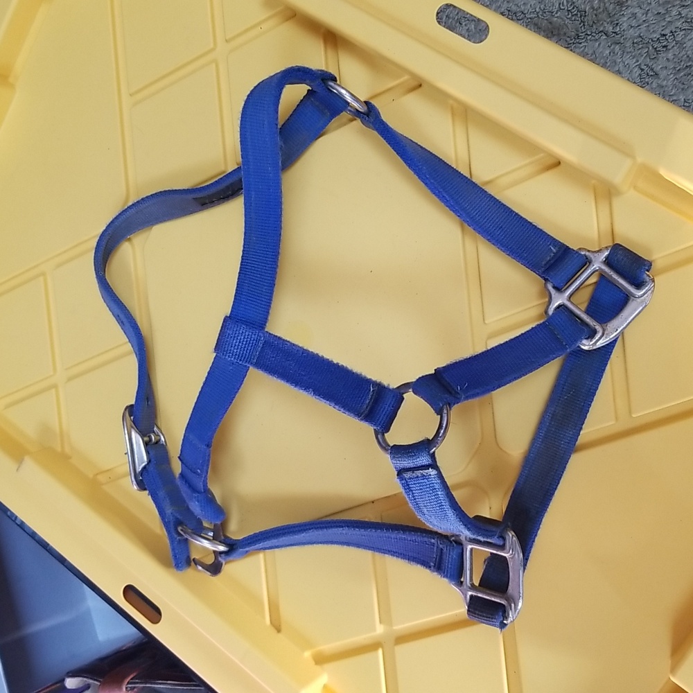 🐴ADJUSTABLE HORSE HALTER